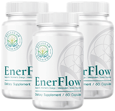 EnerFlow